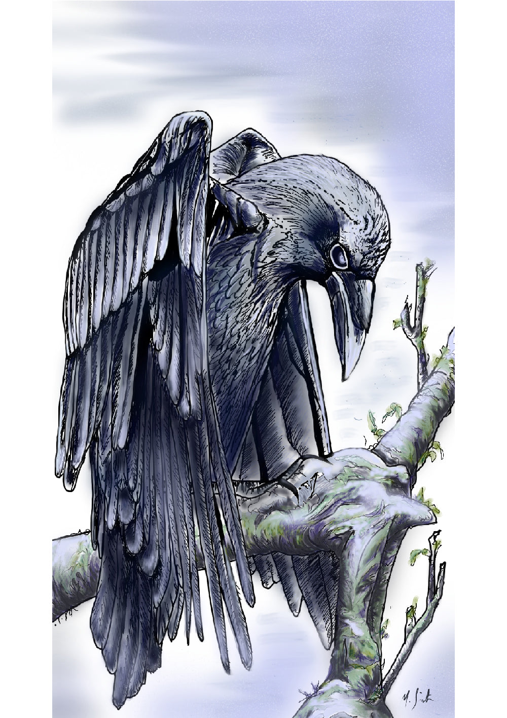 Hand-drawn illustration of a raven perched on a branch, with detailed feathering and a defined shadow on the ground. Painting by Irish artist Margaret Smith