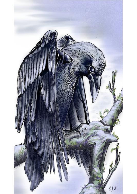 Hand-drawn illustration of a raven perched on a branch, with detailed feathering and a defined shadow on the ground.  Painting by Irish artist Margaret Smith